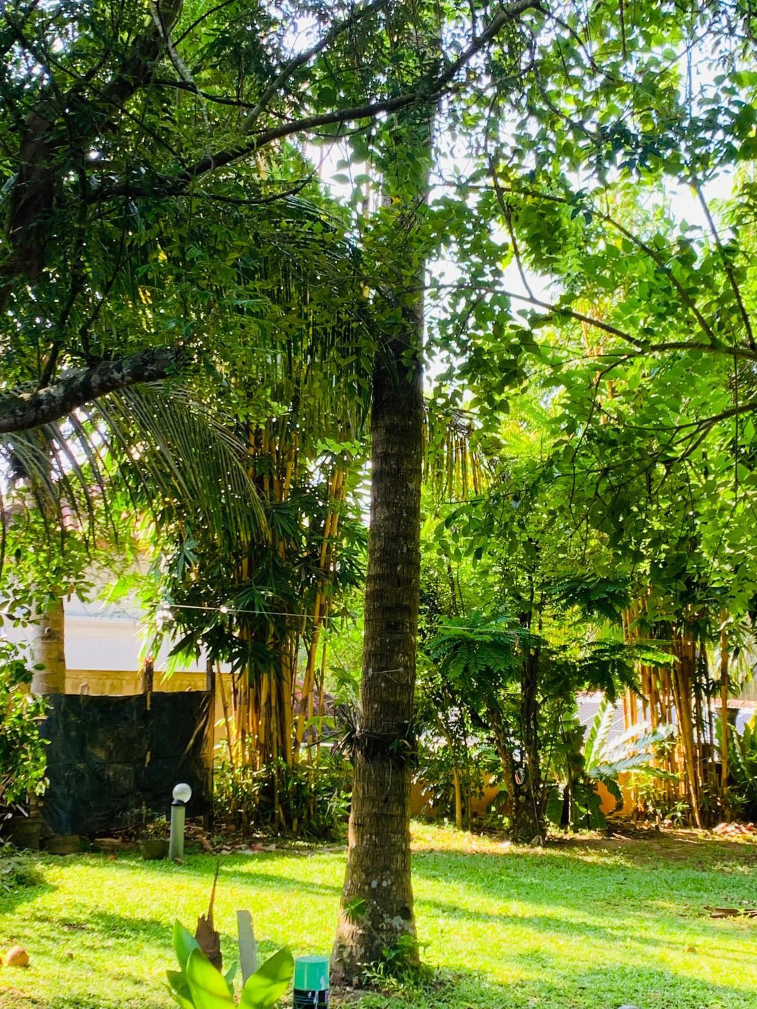 Cinnamon House Hiriketiya ديكويلاّ تين المظهر الخارجي الصورة