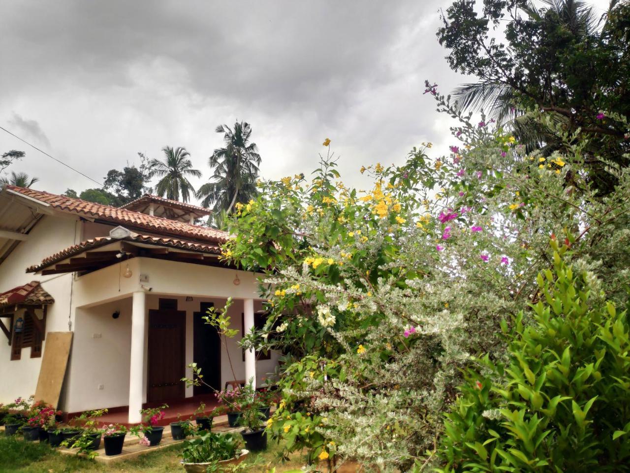 Cinnamon House Hiriketiya ديكويلاّ تين المظهر الخارجي الصورة