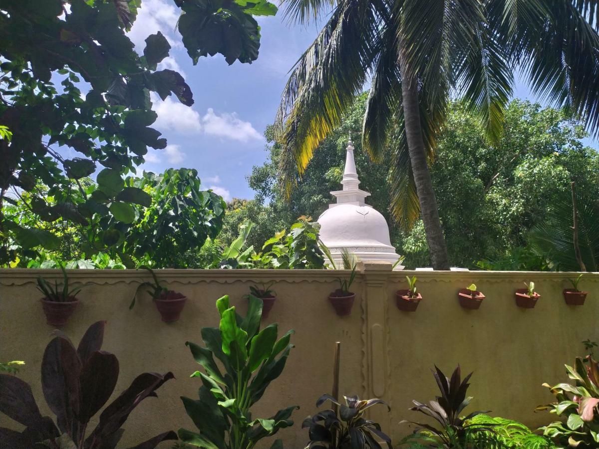 Cinnamon House Hiriketiya ديكويلاّ تين المظهر الخارجي الصورة