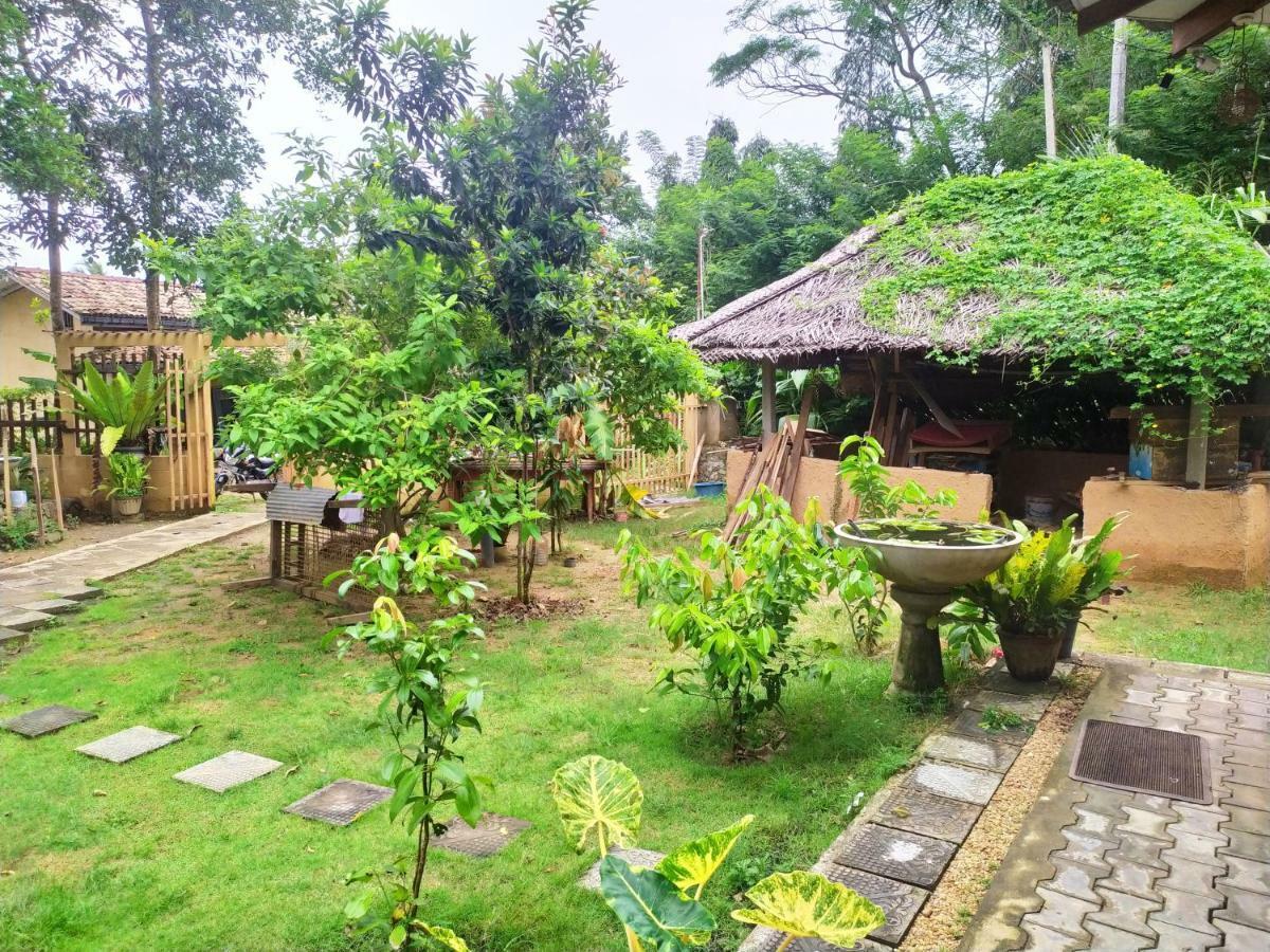Cinnamon House Hiriketiya ديكويلاّ تين المظهر الخارجي الصورة